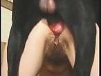 Zoo Sex Online