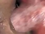 ZOO Porn and bestiality tube