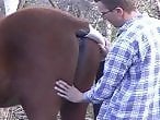 ZooPornHub
