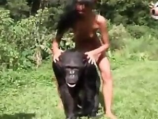 Animal Zoo Sex
