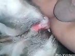 ZOO Porn and bestiality tube