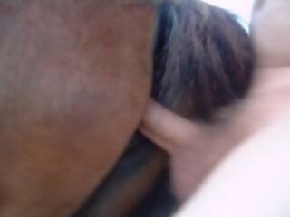 XXX bestiality zoo porn
