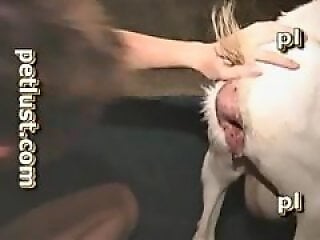 Animal porn and zoo sex