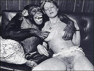 Zoo Zoo Sex Porn