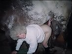XXX bestiality zoo porn