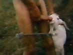 Zoo Zoo Sex Porn