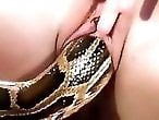Animal Fuck XXX