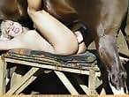 Zoo Animal Sex Porn