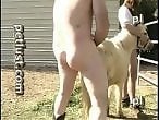 Dog Sex Zoo