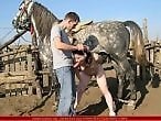 Animal Porn XXX Sex Videos