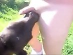 Zoo Animal Sex Porn
