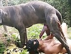 ZOO Porn and bestiality tube