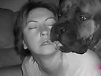 Zoophilia porn and animal sex
