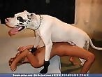 Zoo Animal Sex Porn