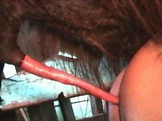 Animal porn videos and ZOO PORN