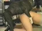 Bestiality XXX Porn