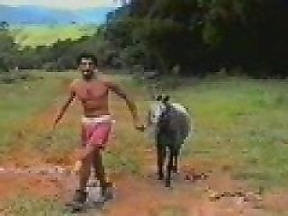 Animal Porn XXX Sex Videos