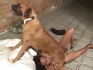 Top Bestiality Zoo Sex Porn
