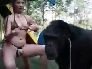 Animal Porn XXX Sex Videos