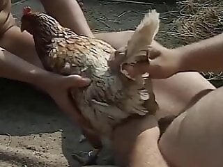 XXX Bestiality Sex