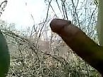 Dog Porn Tube