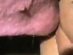 Animal porn and zoo sex