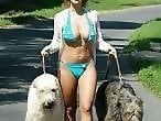 Zoo Zoo Sex Porn