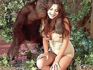 Zoo Animal Sex Porn