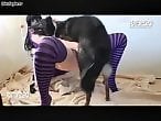 Zoo Porn Fun