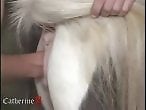 XXX Zoo Sex Porn