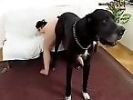 Animal porn videos and ZOO PORN