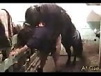 HQ Animal Porn