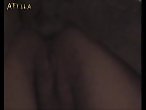 Zoo Animal Sex Porn