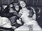 XXX Zoo Porn