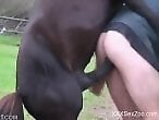 Top Bestiality Zoo Sex Porn