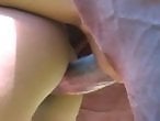 Zoo Zoo Sex Porn