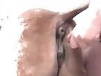 Animal Zoo Porn