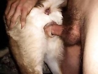 Zoo Porn Co