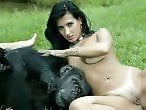 Sex with Animals for Free