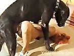 Zoophilia Porn