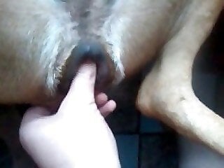 Dog Porn Tube