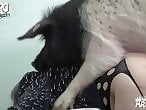 Zoo Zoo Sex Porn