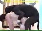 Zoo Porn Co