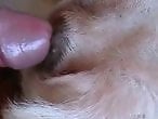 Animal porn and zoo sex