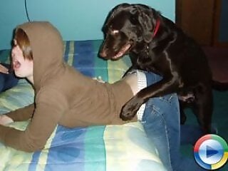 Dog Sex Zoo