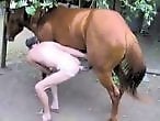 Animal Zoo Porn