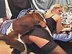 Bestiality Zoo Sex Drawings