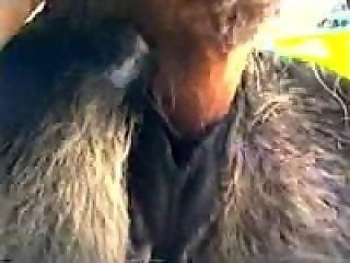 Zoo Zoo Sex Porn