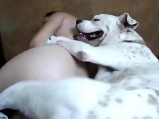 Animal Toplist Zoo Sex Porn