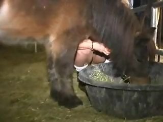Animal porn and zoo sex